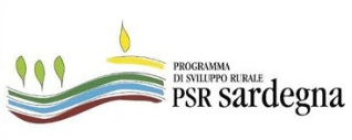 banner finanziato PSR